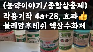 볼리암후레쉬 액상수화제
