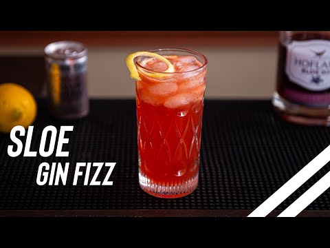 How to Make a Sloe Gin Fizz | Easy Cocktail Recipe for Late Summer & Early Fall