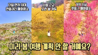 3월 국내 여행 이제는 봄 여행 계획할 때 추천 여행 BEST #국내여행 #여행추천