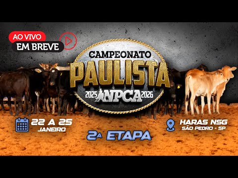 1º Dia Transmissão Ao Vivo - Campeonato Paulista NPCA 2025/2026 - 2ª Etapa