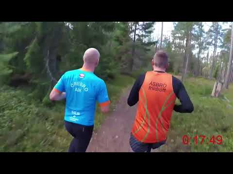 Närkes Terräng-DM (långa) 2017 - 12 km (Löparperspektiv, 2x)