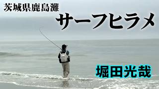 ヒラメ・イワシ
