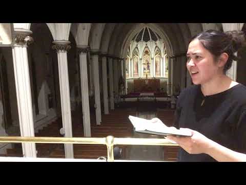 Veni Creator Spiritus (Chant) - a cappella and with organ