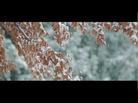 Carlo Poddighe - NEVE - Official Videoclip