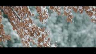 Carlo Poddighe - NEVE - Official Videoclip