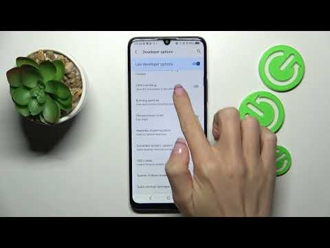 How to Activate Automatic System Updates on TCL 40 SE?