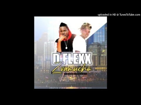 THROW BACK D-FLEXX MIXTAPE[MIXED BY FIRE FOX]