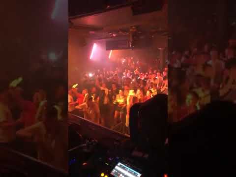 The New Monkey Reunion 2021 Live