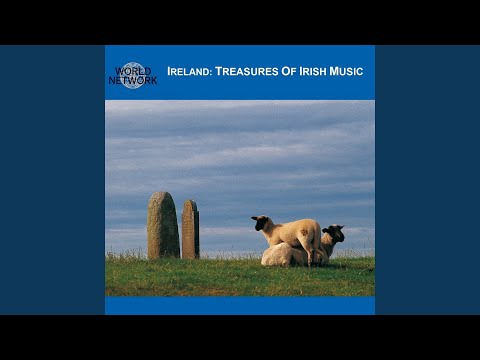 De Dannan, Mulvihill's, Mulqueen's