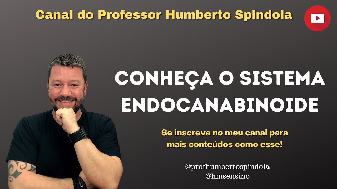 AULA SISTEMA ENDOCANABINOIDE - Lunch Class