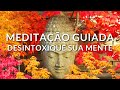 MEDITAÇÃO GUIADA: DESINTOXIQUE SUA MENTE (LIMPEZA DOS PENSAMENTOS LIMITANTES)