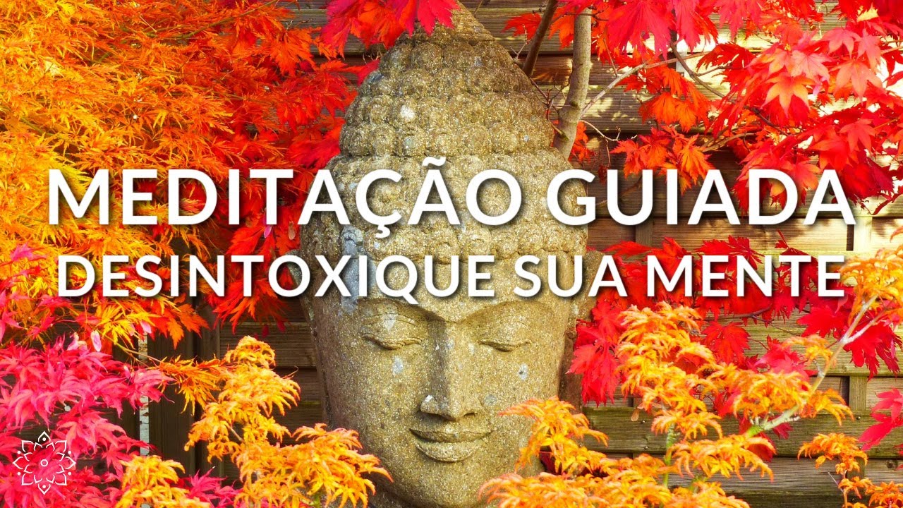 MEDITAÇÃO GUIADA: DESINTOXIQUE SUA MENTE (LIMPEZA DOS PENSAMENTOS LIMITANTES)