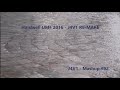 Mad World Vs Bomb A Drop Vs We Wanna Party Vs Propaganda Hardwell Mashup UMF 2016 J4V1 Remake