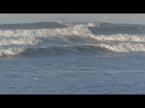 Huntington Beach, CA, 1/10/2021 AM - Part 5