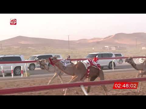 4 alsaad