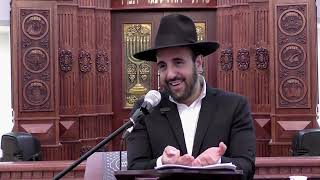 הרב מאיר אליהו ｜ שותים או לא שותים？ ｜ משכן יהודה (רבנים שונים) - התמונה מוצגת ישירות מתוך אתר האינטרנט יוטיוב. זכויות היוצרים בתמונה שייכות ליוצרה. קישור קרדיט למקור התוכן נמצא בתוך דף הסרטון