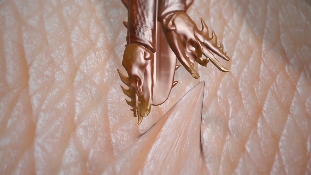 Como os carrapatos transmitem doenças