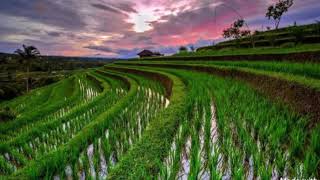 Download lagu Instrumental piano elegi esok pagi Ebiet G. Ade mp3