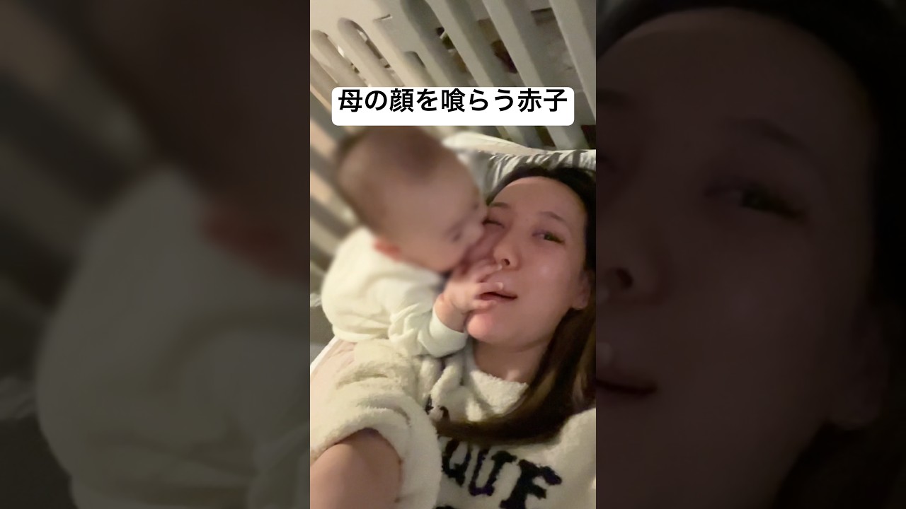 ママの顔を食べる赤ちゃんwww #日常 #赤ちゃん #7ヶ月ベビー #shorts #赤ちゃんのいる生活 #shortvideo #育児
