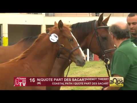 Show AQPS Ouest 2018 : Lot 16 - N(QUOTE PART DES SACART 2018)