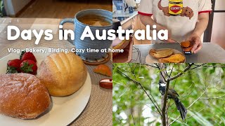 オーストラリア暮らしVlog🇦🇺ただの海外生活の日常｜パン屋・森・自炊