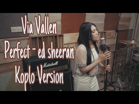 Via Vallen - Perfect ( cover ) Koplo Version