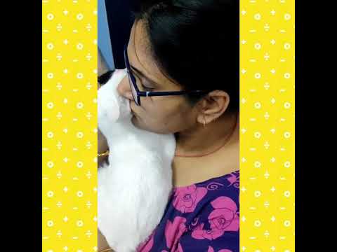 Cat receiving extreme love  ❤️❤️❤️❤️❤️❤️❤️😺😺😺😺😺😺😀