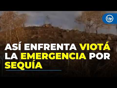 Viotá enfrenta una grave crisis por falta de agua: “No hay una gota”