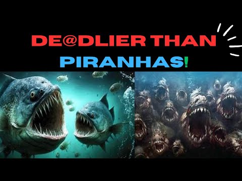 DEADL!ER THAN PIRANHAS! Mysterious Scavengers Of The Deep UNLEASHED! #sea #wildanimals #wildlife