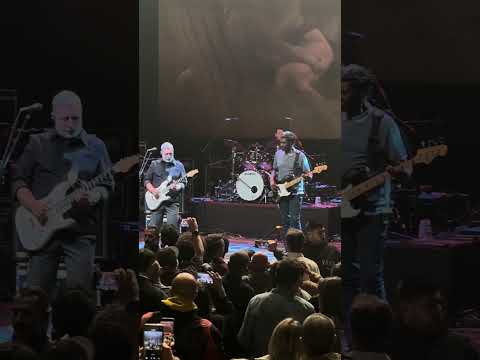 Dire Straits Legacy – Sultans of Swing (Live in Istanbul)