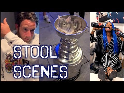 Chinchillas In The Stanley Cup + The Return Of Tiko Texas - Stool Scenes 215