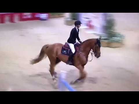 CSI5* Bâle - Kevin Staut & Silver Deux de Virton*HDC - 1.55m - 2018