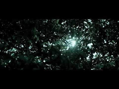 Save the date.... Dr. Krishnaprasad + Dr Anjali