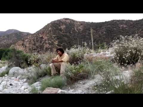 កុំអាណិតបង  | Jimmy Kiss「 Official MV 」