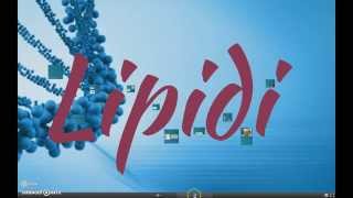 Biomolecole: i lipidi