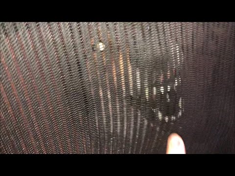 “A Dangerous And Powerful Animal”