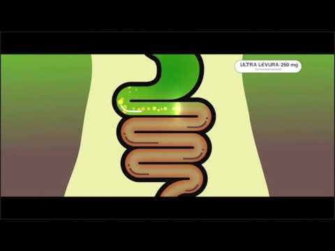 download lagu mp3 mp4 Levura, download lagu Levura gratis, unduh video klip Levura