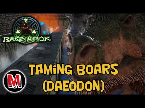 ARK: Taming Boars (Daeodon) & Hatching Giganotosaurus Eggs & Tameing T-Rex 150 .