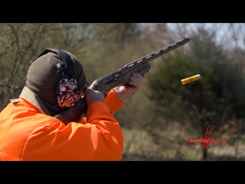 #SundayGunday: Benelli M2 Field