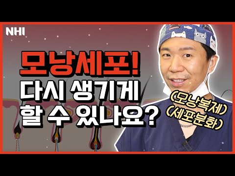 모낭세포! 다시 생기게 할 수 있을까?ㅣ뉴헤어