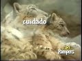 PUBLICIDAD PAÑALES PAMPERS AÑO 2001 VTV 2001