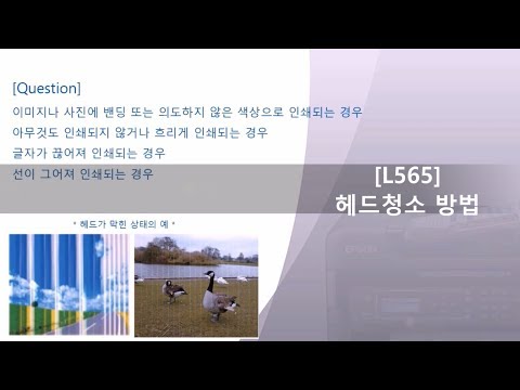 L565 헤드 청소 방법