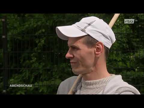 Rumänische Wanderarbeiter vor dem Bundesarbeitsgericht von der Kanzlei Stähle vertretten.