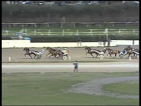 Trotto 15/02/2015 - 6° corsa