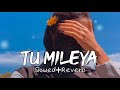 tu mileya - slowed+Reverb - vibe soul