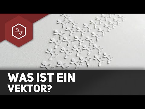 Einführung Vektoren