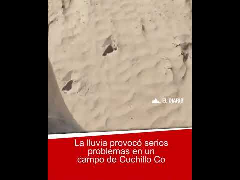 La lluvia provocó serios problemas en un campo de Cuchillo Co