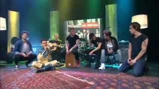 1DDay - Little Things - Live One Direction HD