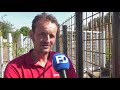 Dierenrijk verwelkomt drie Indische neushoorns