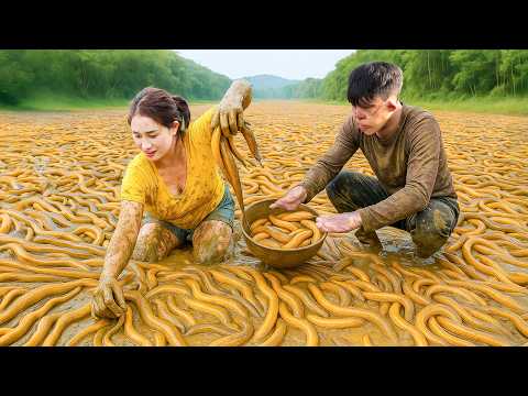 Full Video: 30 Days of Harvesting Billions of Loaches in the Amazon Swamp & Go to Market Sell